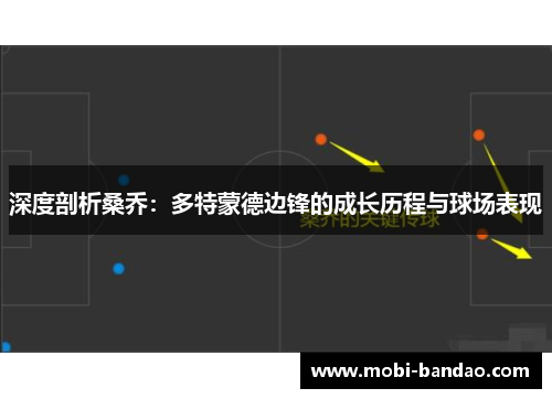 深度剖析桑乔：多特蒙德边锋的成长历程与球场表现
